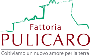 Fattoria Pulicaro